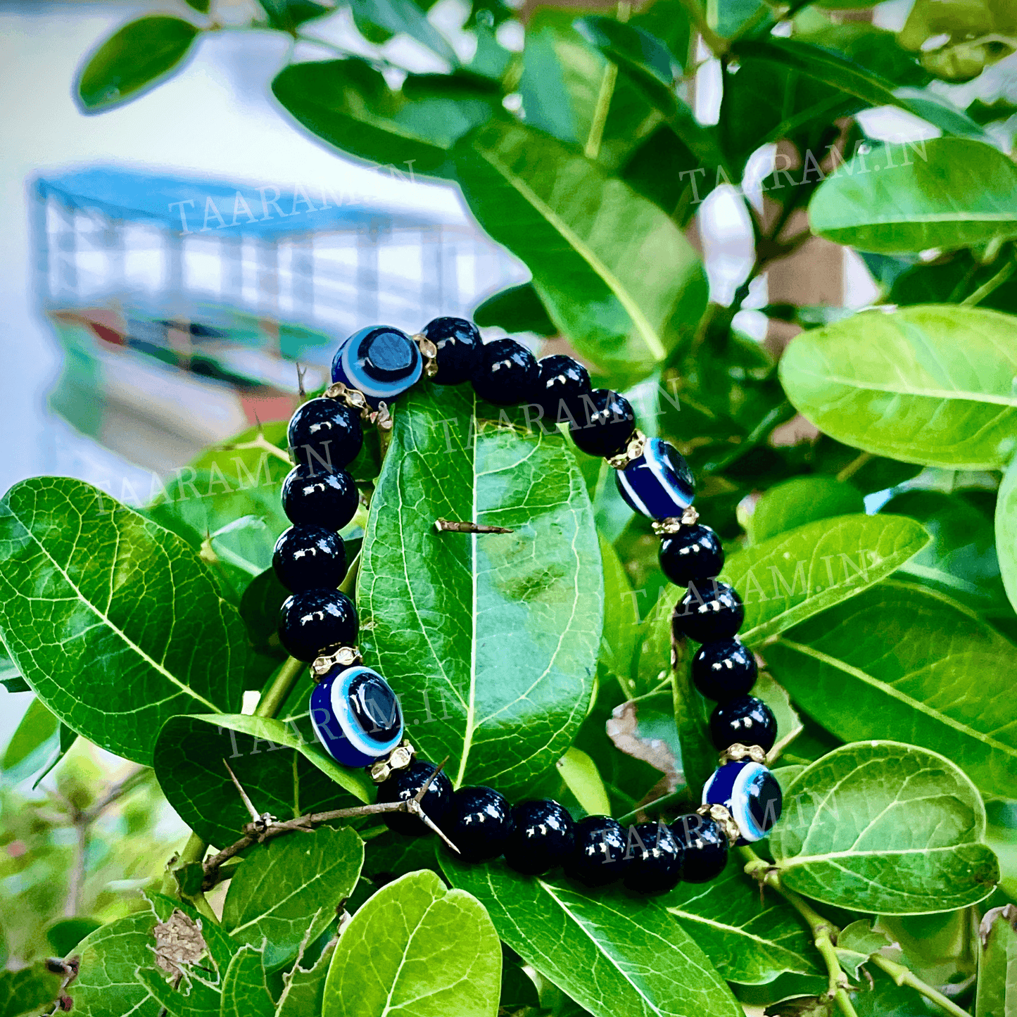 Black Shield Evil Eye Bracelet