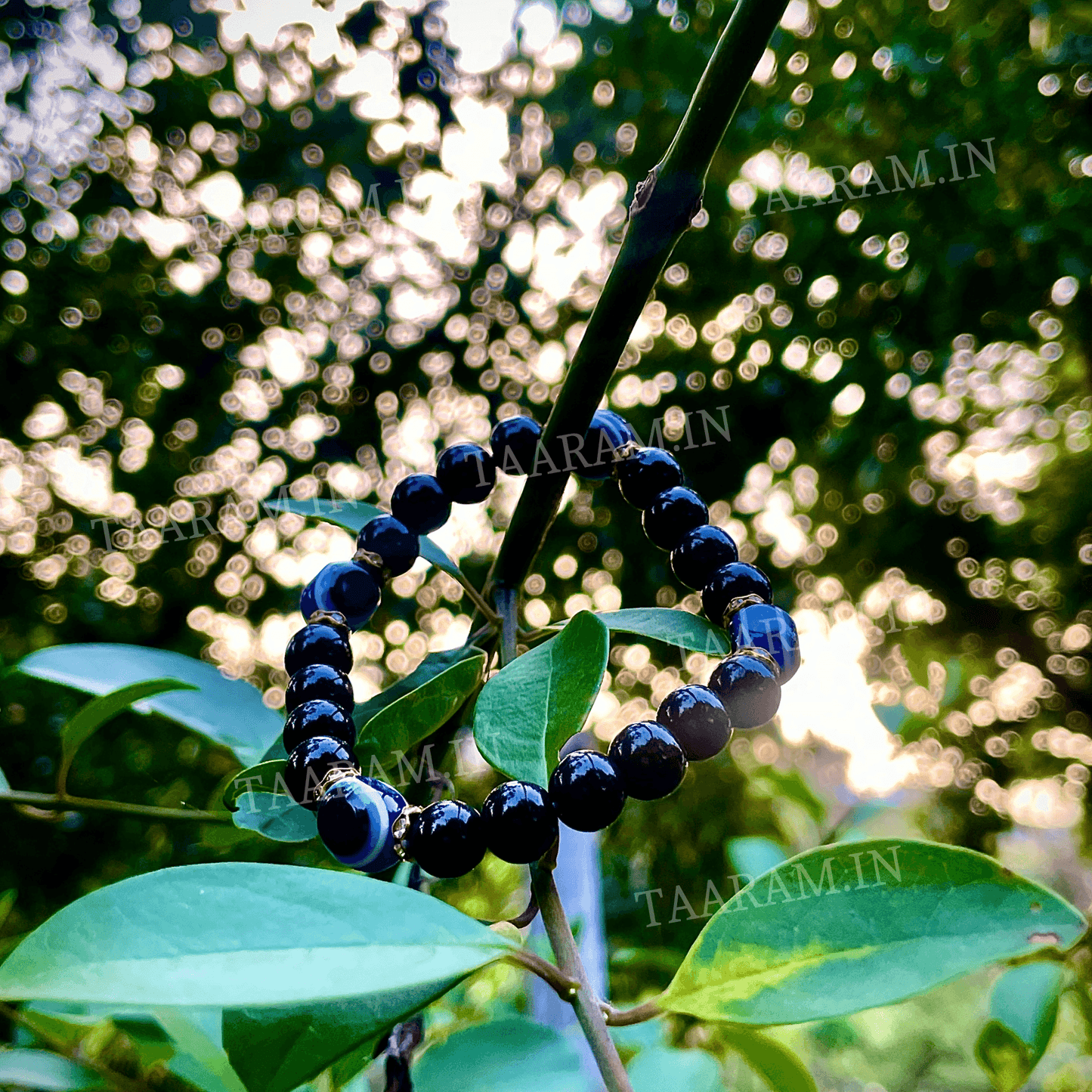 Black Shield Evil Eye Bracelet