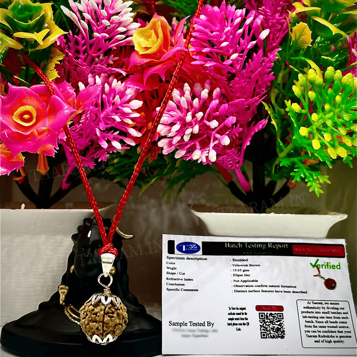 7 Mukhi Original Nepali Rudraksha Mala