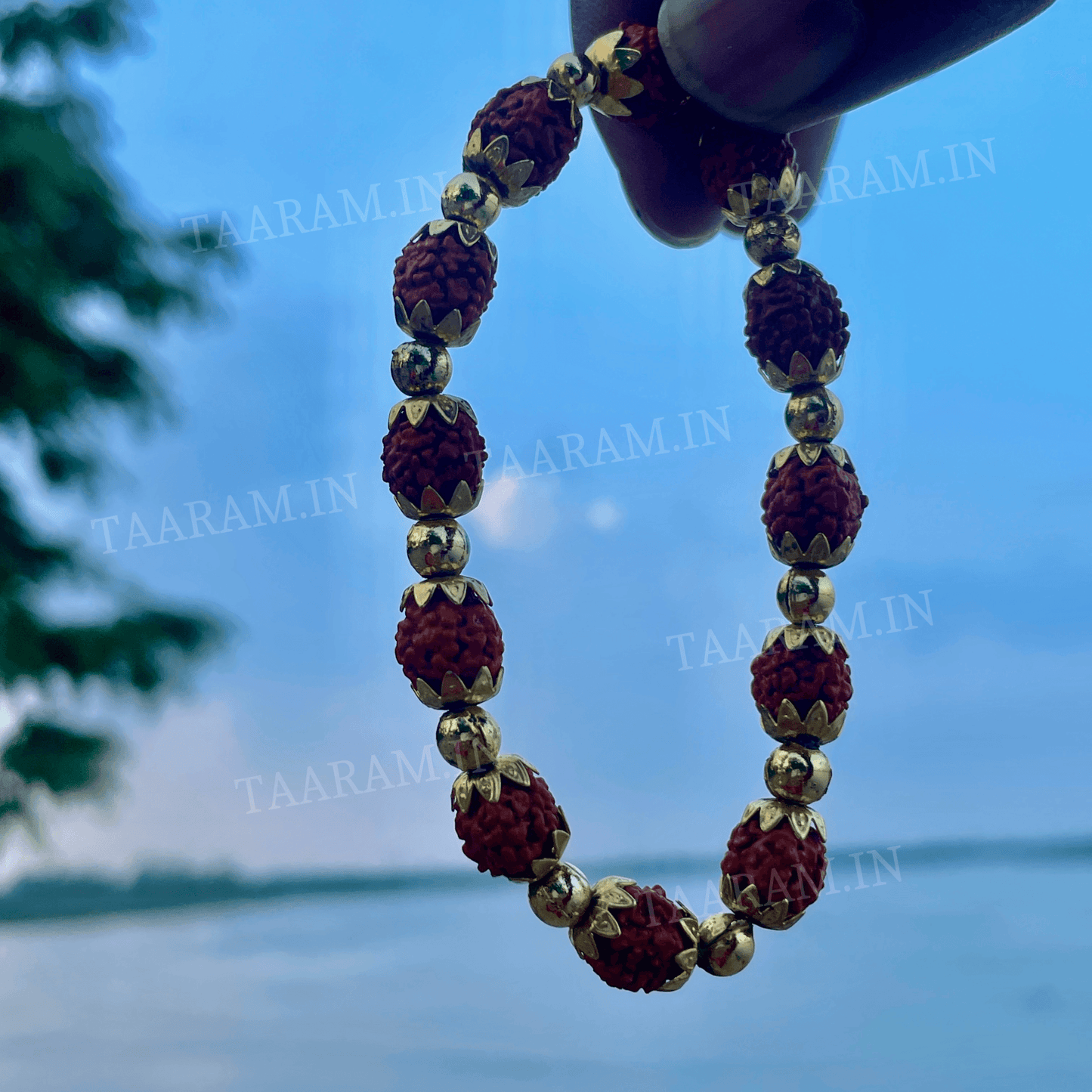 Soul Shield 5 Mukhi Rudraksha Bracelet - Fits All Wrist Size | Adjustable