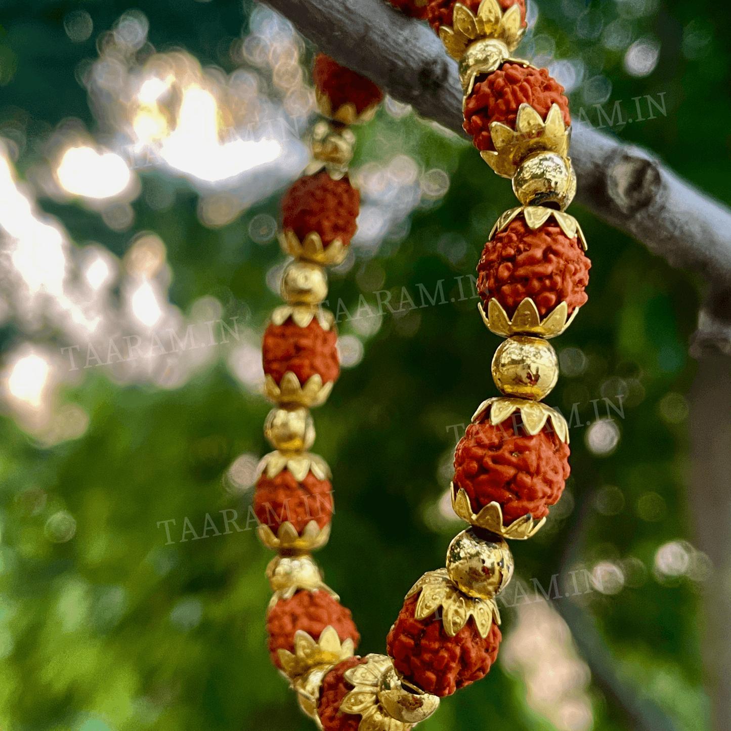 Soul Shield 5 Mukhi Rudraksha Bracelet - Fits All Wrist Size | Adjustable