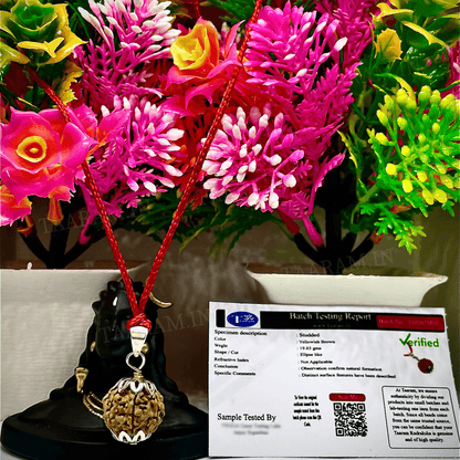 7 Mukhi Original Nepali Rudraksha Mala