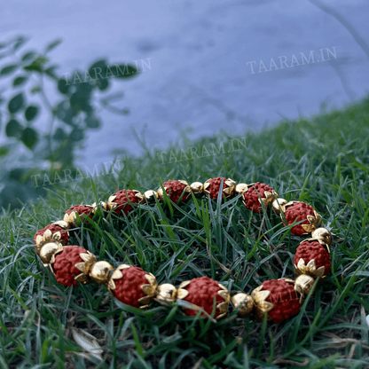 Soul Shield 5 Mukhi Rudraksha Bracelet - Fits All Wrist Size | Adjustable